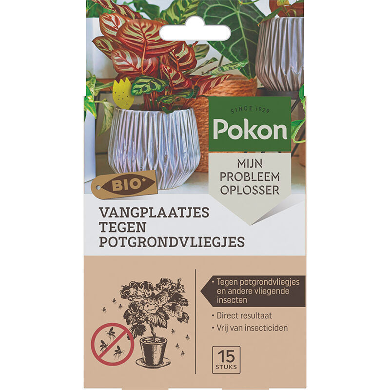 Pokon bio trampas adhesivas contra moscas de tierra para macetas 15 piezas