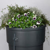 Regenton gardenplanter 230l