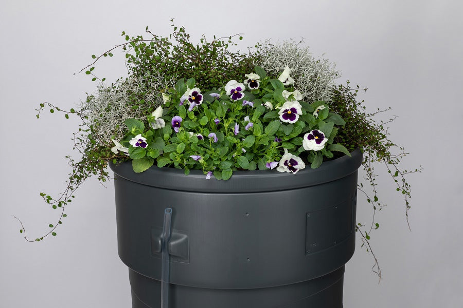Regenton gardenplanter 230l