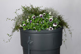 Producten regenton gardenplanter 230l - afbeelding 3