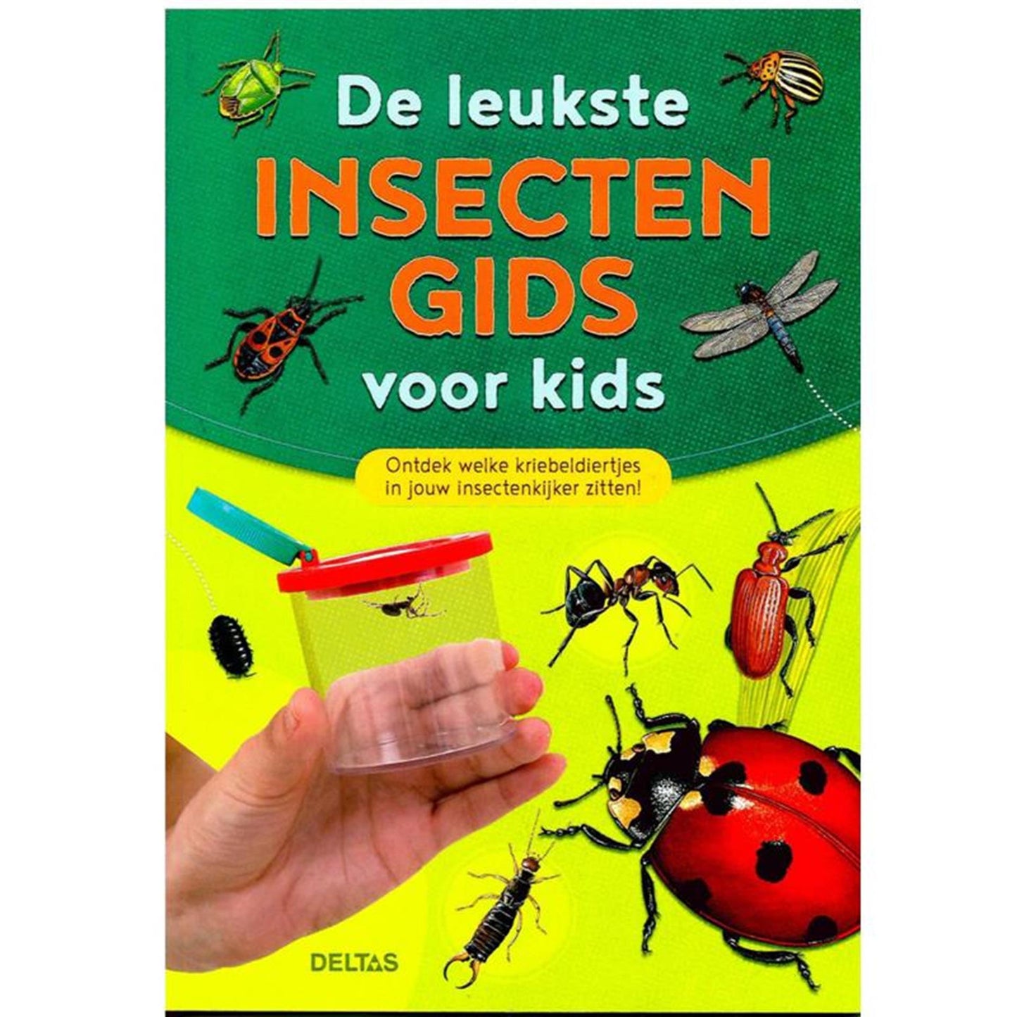 La mejor guía de insectos para niños