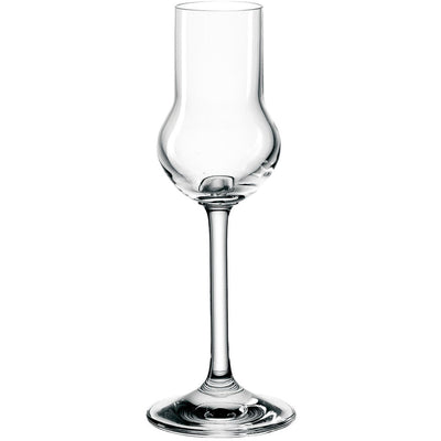 Vasos de licor puro Montana 6uds 60ml