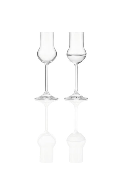 Vasos de licor puro Montana 6uds 60ml