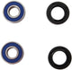All balls racing wiellagerset wheel bearing sets 25-100 complete with simmerrings
