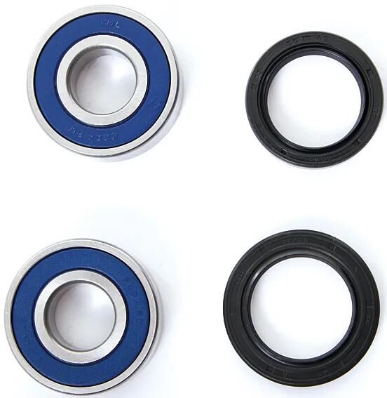 Set di cuscinetti a ruote da corsa di tutte le palline 25-125 completi