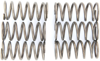 Kit molla frizione TRW MEF138-6