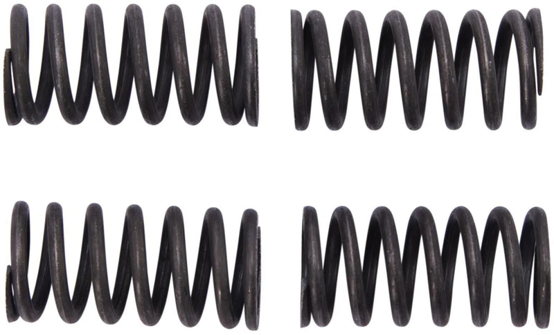 TRW Clutch Spring Kit MEF331-4