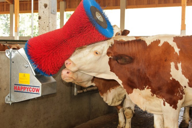 Cepillo para vacas Happycow uno horizontal