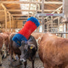 Producten happycow veeborstel freemaxi
