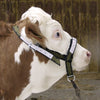 Cavezza per toro in nylon con anello a D
