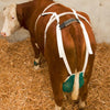 Producten uiernet compleet