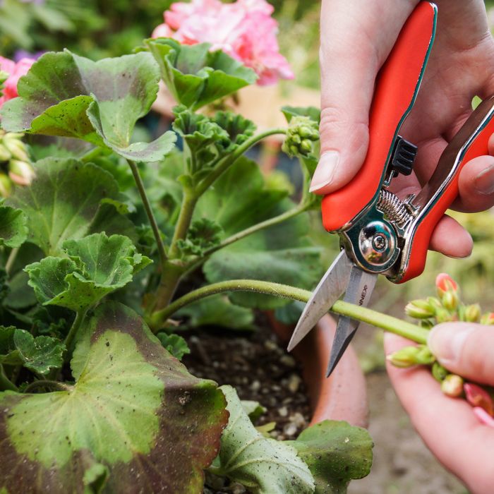 Cesoia da raccolta trimmer eurotool Mm mini