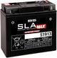 Batteria BS Batteria 51913 BS SLA-MAX