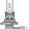 Spahn scheinwerferlampe headlight bulb 12v 65w hb3 p20d