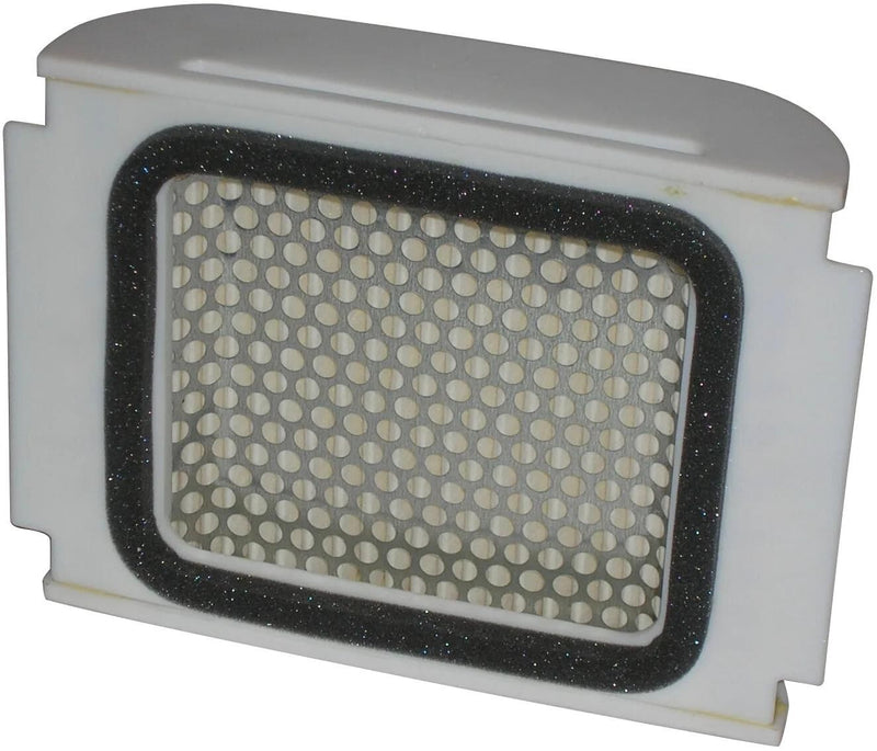 Filtro dell'aria filtro dell'aria Miw y4125