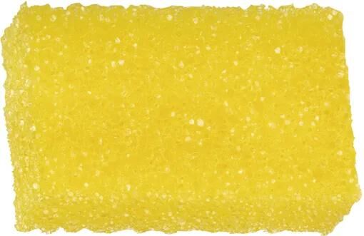 Schiume di insetti di autosol