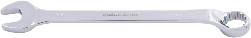 Bikeservice Ring-Stike Chiave