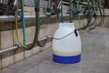 Secchio per latte Kerbl semi trasparente blu 30 litri - afbeelding 5