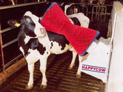 Happycow cow brush uno horizontal - afbeelding 5