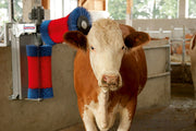 Happycow cow brush duo - afbeelding 5
