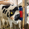 Producten halfronde koeborstel veeborstel blauwrood xl