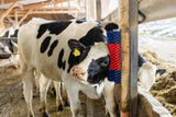 Producten halfronde koeborstel veeborstel blauw rood xl - afbeelding 6