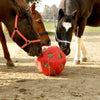 Producten voeder speel bal rood