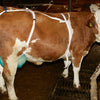 Producten uiernet compleet