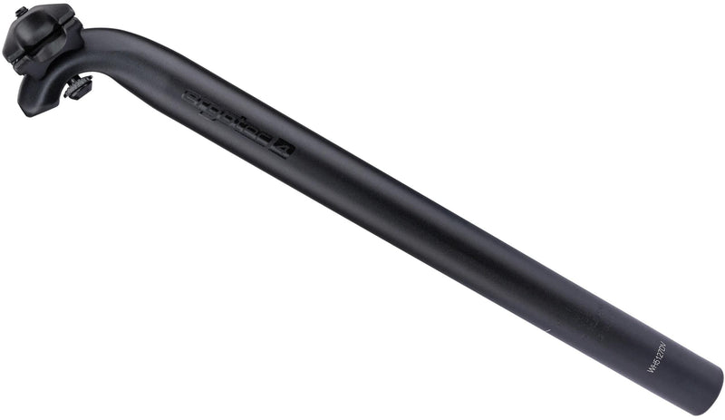 Ergotec SeatPost Hook 30.9x400mm