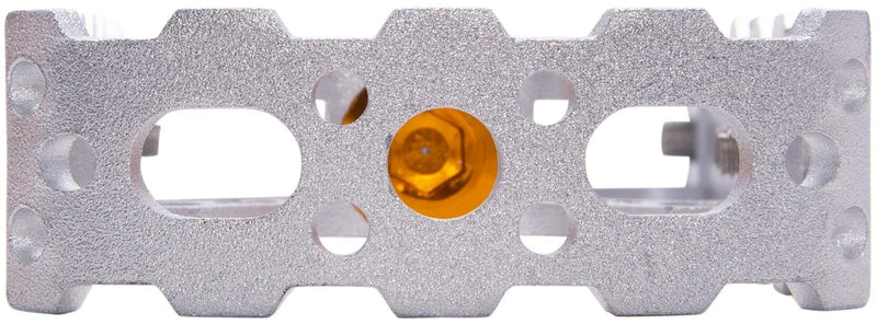 Piattaforma coraggiosa Piattaforma Silver