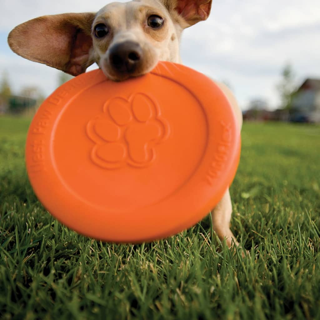 Zogoflex Zogoflex Hondfrisbee ZISC Naranja Tamaño l 1937