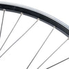 Ruota anteriore Contec classic z19 + shimano dh-c3000 ruota fr.28 sp.sw 2.00