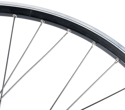Contec front wheel classic z19 + shimano dh-c3000 fr.wheel 28 sp.sw 2.00