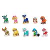Set regalo Paw Patrol con 10 personaggi