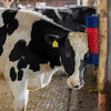 Producten halfronde koeborstel veeborstel blauwrood xl