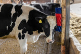 Producten halfronde koeborstel veeborstel blauw rood xl - afbeelding 7