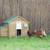 Producten automatische kippendeurset 30x40cm