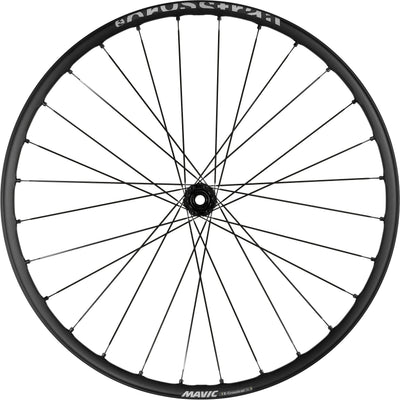Ruota mavica e-crosstrail sl 29 fr. Cl 15x110mm