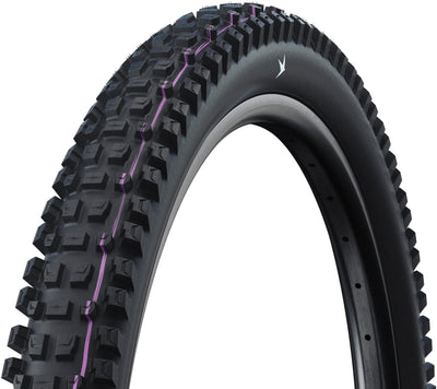 Schwalbe Tire 29 Albert Gravity Pro