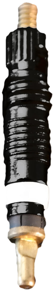 SCHWALBE Valve Inserisci nero
