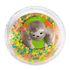 Fisher price waterbal