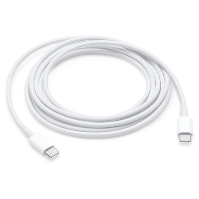 Cavo di ricarica USB-C Apple 2 metri bianchi