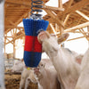 Producten happycow veeborstel flexiswing