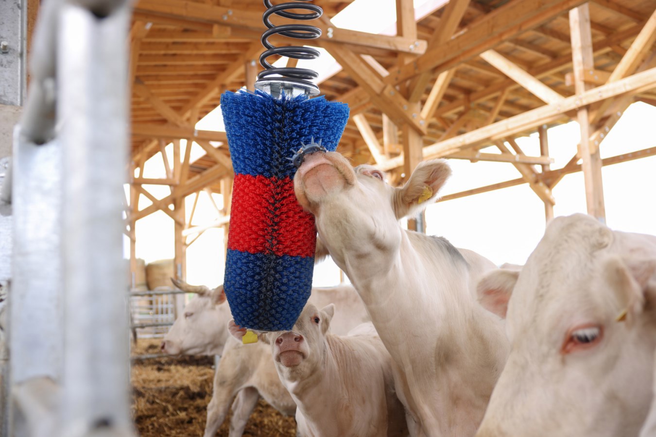 Spazzola flessibile per bovini Happycow