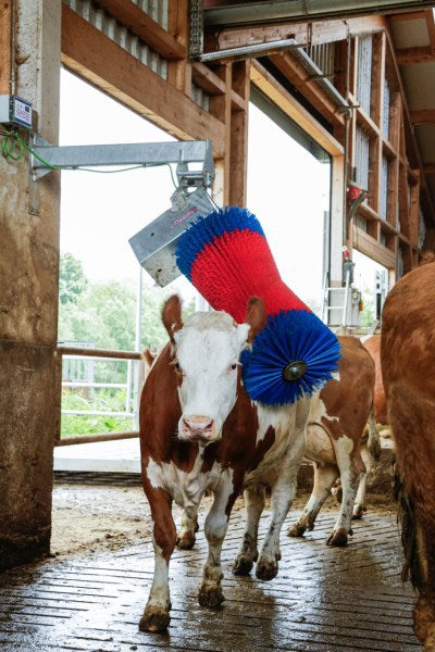 Spazzola per mucche Happycow maxiwing