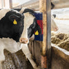 Producten halfronde koeborstel veeborstel blauwrood xl