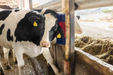 Producten halfronde koeborstel veeborstel blauw rood xl - afbeelding 8