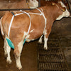 Producten uiernet compleet
