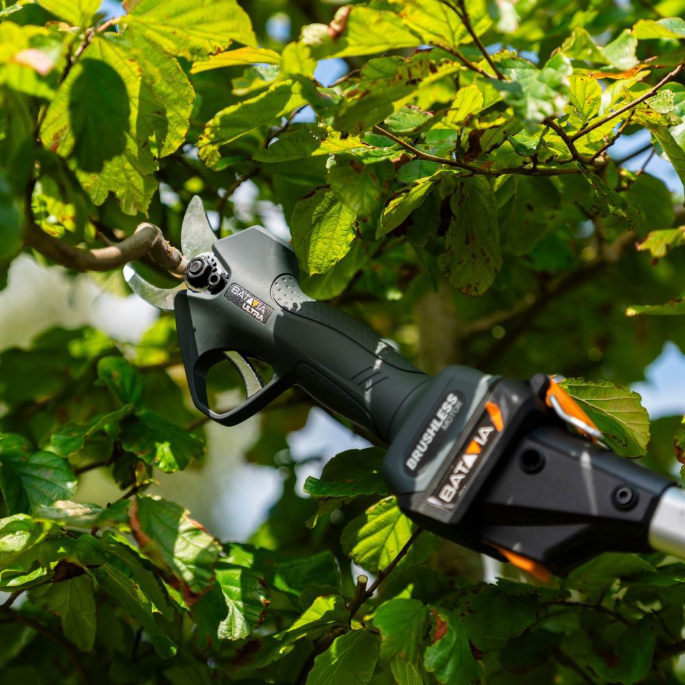 Forbice da potatura Ac maxxpk ultra Batavia 18v corpo brushless