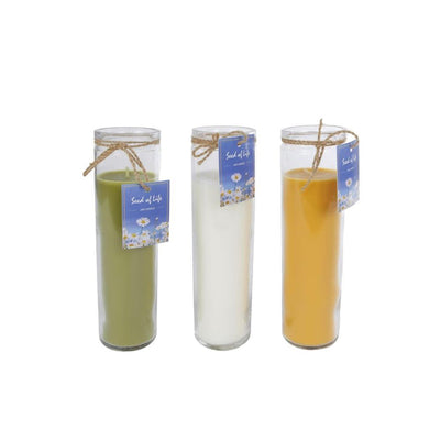 Vela Cozydecor de cristal semilla de vida h21cm